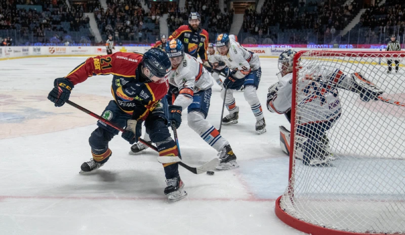 svenska hockeyligan